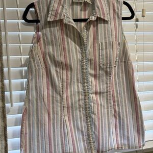 Duck Head Multicolor Striped Sleeveless Button Down Shirt